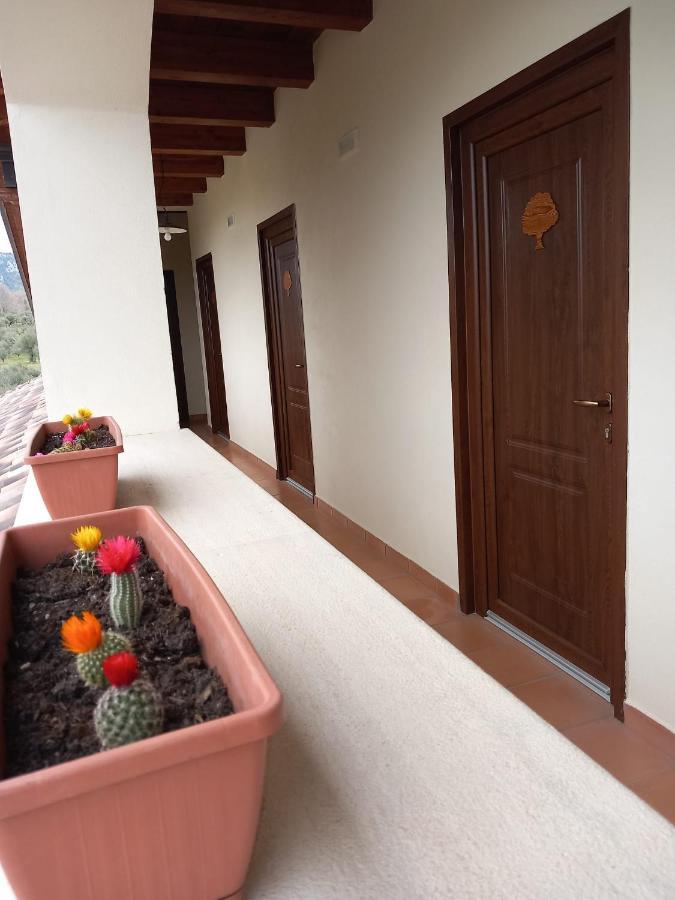 Agriturismo L'Ulivo بادولا المظهر الخارجي الصورة