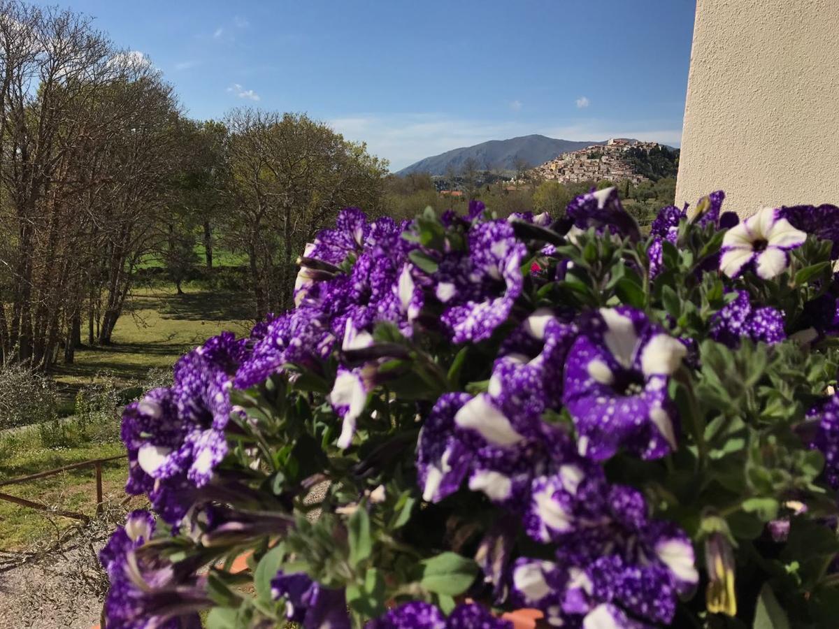 Agriturismo L'Ulivo بادولا المظهر الخارجي الصورة