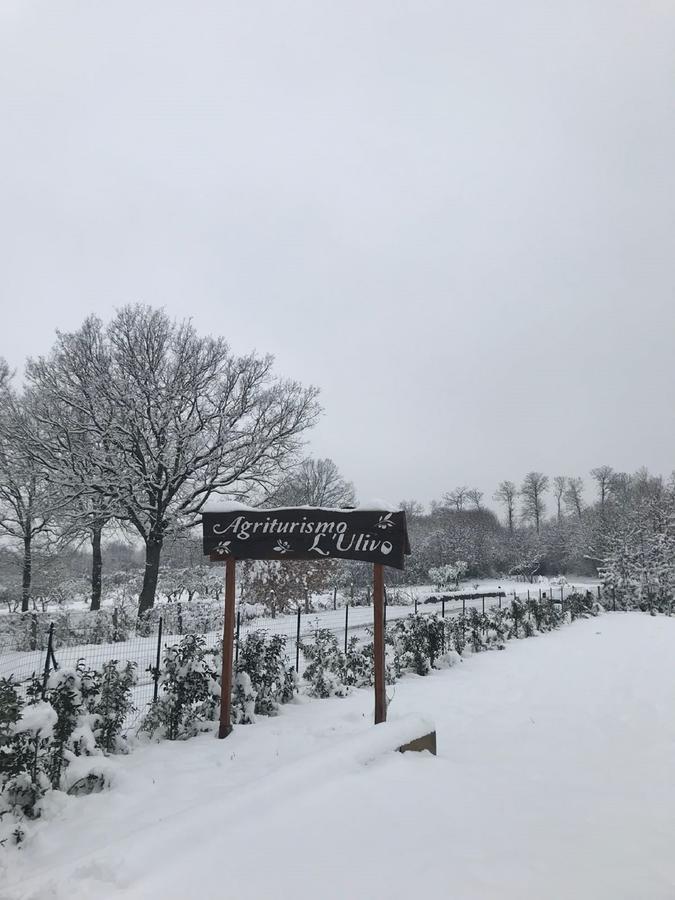 Agriturismo L'Ulivo بادولا المظهر الخارجي الصورة