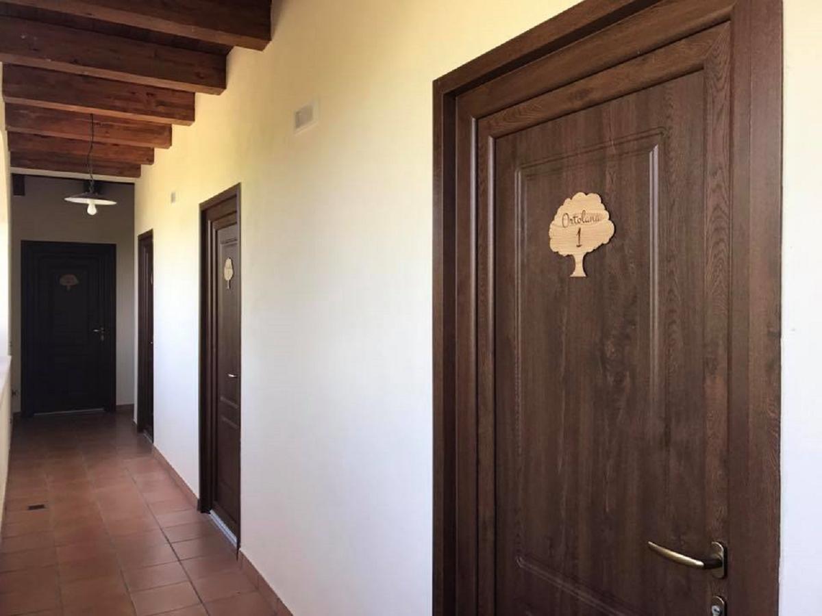 Agriturismo L'Ulivo بادولا المظهر الخارجي الصورة